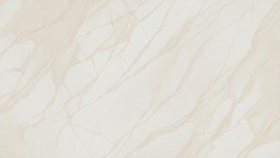 The primary subject of the image is a marble wall with a patterned texture. The setting is a room with a white background. The visual style is a close-up of the marble wall, showcasing its intricate design. The colors and mood of the image are predominantly white, giving it a clean and elegant appearance.