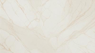 The primary subject of the image is a white marble wall with a pattern of veins and a rough texture. The setting is a room with a white marble floor, which complements the wall. The visual style is a close-up of the marble wall, showcasing its unique features. The colors and mood of the image are predominantly white, giving it a clean and elegant appearance.