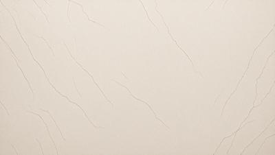 The primary subject of the image is a white wall with a textured surface. The setting is a room with a white wall, and the visual style is a photo. The colors and mood of the image are predominantly white, giving it a clean and minimalist appearance.