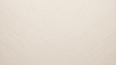 The primary subject of the image is a white wall with a textured surface. The setting is a room with a white wall, and the visual style is a close-up of the wall. The colors and mood of the image are predominantly white, giving it a clean and minimalist appearance.