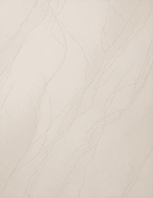 The primary subject of the image is a white marble wall with a pattern of veins and streaks. The setting is a room with a white background, and the visual style is a close-up of the marble wall. The colors and mood of the image are predominantly white, giving it a clean and elegant appearance.