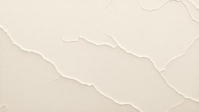 The primary subject of the image is a white wall with peeling paint. The setting is a room with a white background. The visual style is a close-up of the peeling paint, which gives the image a textured and aged appearance. The colors and mood of the image are predominantly white, with the peeling paint adding a touch of brown and yellow.