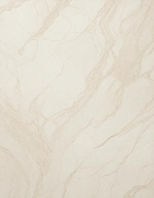 The primary subject of the image is a marble wall with a white and brown color scheme. The setting is a room with a white background, and the visual style is a close-up of the marble wall. The colors and mood of the image are warm and natural, with the marble wall adding a sense of luxury and elegance to the space.