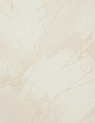 The image features a white marble wall with a pattern of holes and grooves. The wall appears to be made of marble tiles, giving it a luxurious and elegant appearance. The primary subject of the image is the marble wall, which serves as the main focus of the scene. The setting is indoors, likely in a high-end residential or commercial space. The visual style of the image is a close-up of the marble wall, showcasing its intricate details and texture. The colors