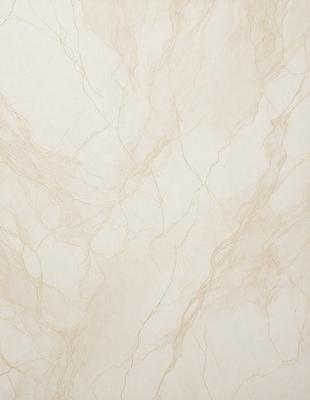 The primary subject of the image is a marble wall with a patterned texture. The setting is a room with a white background. The visual style is a close-up of the marble wall, showcasing its intricate design. The colors and mood of the image are predominantly white, giving it a clean and elegant appearance.