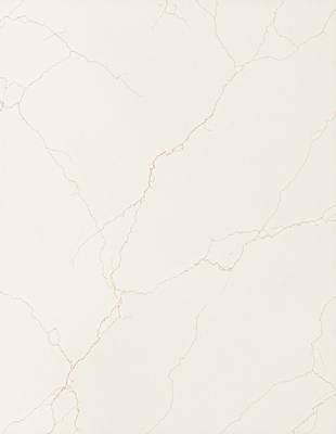 The primary subject of the image is a white marble wall with a pattern of cracks and crevices. The setting is a room with a white marble floor. The visual style is a close-up of the marble wall, showcasing its unique texture and pattern. The colors and mood of the image are predominantly white, giving it a clean and elegant appearance.