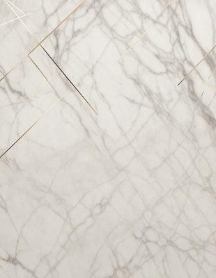 The primary subject of the image is a marble wall with a pattern of gold lines. The setting is a white marble wall, and the visual style is a close-up of the marble wall. The colors and mood of the image are predominantly white and gold, creating a luxurious and elegant atmosphere.