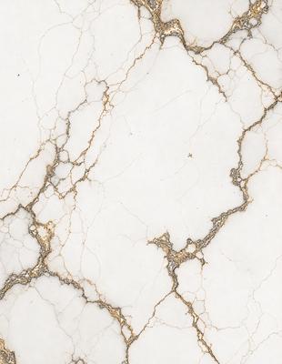 The primary subject of the image is a marble surface with a white and gold color scheme. The setting is a marble wall, and the visual style is a close-up of the marble surface. The colors and mood of the image are elegant and sophisticated, with the gold and white colors creating a luxurious and timeless atmosphere.