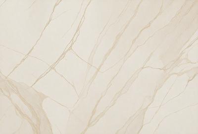 The primary subject of the image is a marble wall with a patterned texture. The setting is a room with a white background, which creates a clean and elegant atmosphere. The visual style is a close-up of the marble wall, showcasing its intricate details. The colors and mood of the image are predominantly white, giving it a calm and sophisticated appearance.