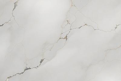 The primary subject of the image is a white marble wall with a cracked and peeling surface. The setting is a room with a cloudy sky visible in the background. The visual style is a close-up of the marble wall, showcasing its texture and imperfections. The colors and mood of the image are predominantly white, with a slightly moody atmosphere due to the cracked and peeling surface of the marble.