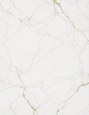 The primary subject of the image is a white marble wall with a gold border. The setting is a room with a white marble floor. The visual style is a close-up of the marble wall, showcasing its texture and beauty. The colors and mood of the image are predominantly white and gold, creating a sense of elegance and sophistication.