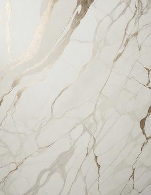 The primary subject of the image is a marble wall with a gold-colored design. The setting is a room with a white background, and the visual style is a close-up of the marble wall. The colors and mood of the image are predominantly white and gold, creating a luxurious and elegant atmosphere.