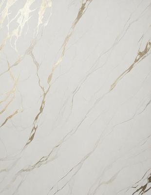 The primary subject of the image is a marble wall with a gold-colored design. The setting is a room with a white background, and the visual style is a close-up of the marble wall. The colors and mood of the image are predominantly white and gold, creating a luxurious and elegant atmosphere.