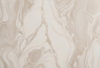 The primary subject of the image is a marble wall with a unique, swirling pattern. The setting is a room with a white marble wall, which serves as the background. The visual style of the image is a close-up of the marble wall, showcasing its intricate design. The colors and mood of the image are predominantly white, giving it a clean and elegant appearance.