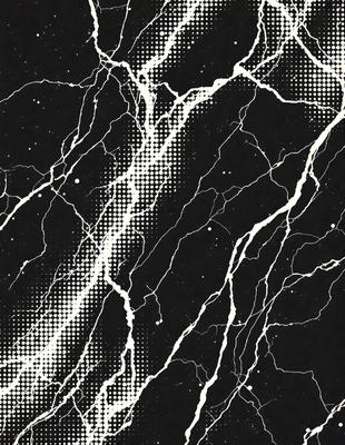 The primary subject of the image is a marble-like surface with a pattern of white and black dots. The setting is a black and white photograph, giving it a classic and timeless appearance. The visual style is a combination of a pattern and a texture, creating a unique and intricate design. The colors and mood of the image are predominantly black and white, with a touch of contrasting white dots, giving it a sophisticated and elegant feel.