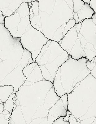 The image is a black and white drawing of a wall with a cracked texture. The wall appears to be made of concrete, and the drawing is done in a style that resembles a painting. The primary subject of the image is the cracked wall, which is the main focus of the scene. The setting is an indoor environment, likely a room or a building. The visual style is a combination of artistic expression and realism, creating a unique and intriguing image. The colors and mood of the drawing are pre