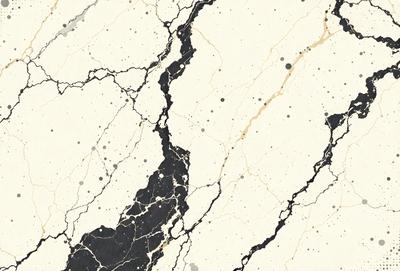 The primary subject of the image is a black and white marble tile. The setting is a wall with a marble texture, and the visual style is a close-up of the marble tile. The colors and mood of the image are predominantly black and white, giving it a classic and elegant appearance.