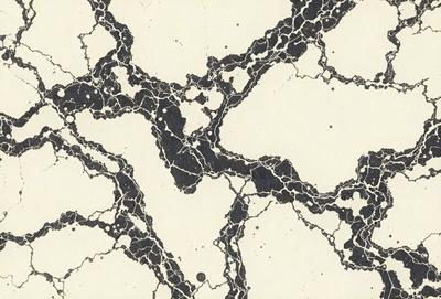 The image features a black and white pattern on a white background. The pattern consists of a series of black and white dots, creating a visually striking and intricate design. The overall atmosphere of the image is one of elegance and sophistication, with the contrasting colors and intricate pattern creating a sense of depth and complexity.