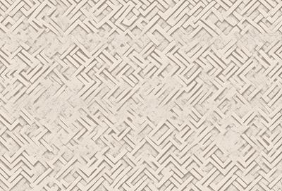 The primary subject of the image is a patterned wallpaper with a white and grey color scheme. The setting is a room with a white and grey color scheme. The visual style is a patterned wallpaper, which gives the room a unique and modern appearance. The colors and mood of the image are predominantly white and grey, creating a clean and minimalist atmosphere.