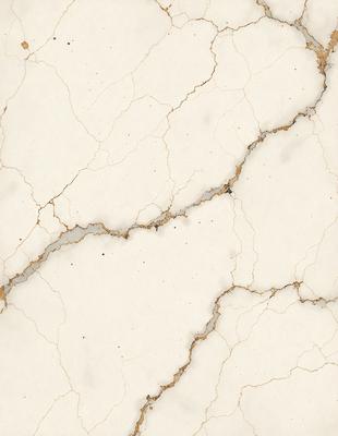 The primary subject of the image is a marble wall with a cracked and peeling surface. The setting is a room with a white background. The visual style is a close-up of the marble wall, showcasing its texture and imperfections. The colors and mood of the image are predominantly white, with the marble wall providing a natural and earthy tone.