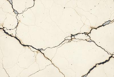 The primary subject of the image is a cracked, peeling wall with a white background. The visual style appears to be a photo, as it captures the details of the wall's texture and appearance. The colors and mood of the image are predominantly white, with some black and grey tones, creating a sense of age and wear.