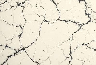 The image features a white wall with a pattern of black and white dots. The wall appears to be cracked and has a rough texture, giving it a unique and interesting appearance. The black and white dots on the wall create a visually striking contrast against the white background.