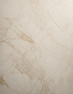 The primary subject of the image is a marble wall with a brown and white pattern. The setting is a room with a white background. The visual style is a close-up of the marble wall, showcasing its texture and pattern. The colors and mood of the image are predominantly brown and white, giving it a natural and elegant appearance.