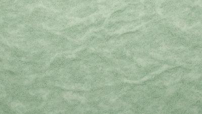 The primary subject of the image is a close-up of a green surface, which appears to be a textured or patterned material. The setting is a room with a green wall, and the visual style is a close-up of the green surface. The colors and mood of the image are predominantly green, creating a calm and soothing atmosphere.