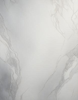 The image features a white marble wall with a patterned texture. The wall appears to be a part of a bathroom, as it is a large, white, and marble-like surface. The overall atmosphere of the image is clean and elegant, with the marble wall serving as a focal point.