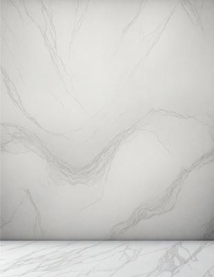 The primary subject of the image is a white wall with a drawing of a tree on it. The drawing appears to be a sketch or a simple illustration, and it is the main focus of the image. The setting is a white wall, and the visual style is a combination of drawing and painting. The colors and mood of the image are predominantly white, giving it a clean and minimalist appearance.