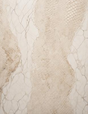 The primary subject of the image is a marble wall with a patterned texture. The setting is a room with a white marble wall, and the visual style is a close-up of the wall. The colors and mood of the image are predominantly white, giving it a clean and elegant appearance.