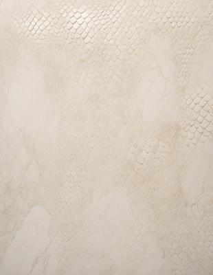 The primary subject of the image is a white wall with a pattern of white and brown snakeskin. The setting is a room with a white background, and the visual style appears to be a combination of a photo and a digital art or illustration. The dominant colors are white and brown, creating a clean and natural atmosphere.