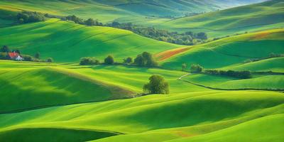 The primary subject of the image is a lush green hillside with a dirt road running through it. The hillside is covered in green grass, and there are trees scattered throughout the landscape. The setting is a picturesque countryside with a serene atmosphere. The visual style is a photo, capturing the natural beauty of the landscape. The colors and mood are predominantly green, with a sense of tranquility and harmony with nature.