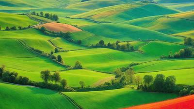 The primary subject of the image is a lush green field with a vibrant orange hue. The field is filled with trees and bushes, creating a serene and picturesque landscape. The setting is a valley with a mountainous background, adding to the beauty of the scene. The visual style of the image is a combination of photo and digital art, resulting in a stunning and realistic representation of the landscape. The dominant colors of the image are green and orange, creating a sense of warmth and tranquility.