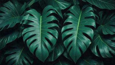 The image features a large green leaf with a long stem, which is part of a plant. The leaf is prominently displayed in the foreground, covering a significant portion of the image. The leaf appears to be a close-up of a large green leaf, possibly a fern or a similar plant. The overall atmosphere of the image is lush and green, with the leaf being the main subject.