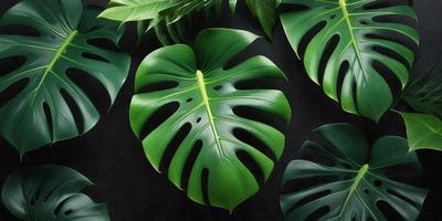 The primary subject of the image is a large green leaf, which is the main focus of the scene. The leaf is prominently displayed in the foreground, with a few other leaves in the background. The visual style of the image is a close-up of the leaf, which is a photo. The colors and mood of the image are predominantly green, creating a natural and serene atmosphere.