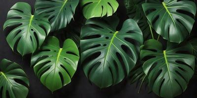 The image features a large group of green leaves, possibly from a plant or a collection of potted plants. The leaves are arranged in various positions, with some overlapping and others standing alone. The leaves are the primary subject of the image, and they create a lush and vibrant atmosphere. The setting appears to be indoors, with the leaves placed on a table or a similar surface. The visual style of the image is a close-up of the leaves, showcasing their intricate details and textures. The