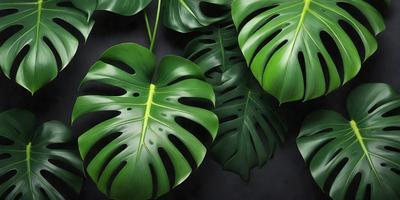 The primary subject of the image is a large green leaf, which is the main focus of the scene. The leaf is prominently displayed in the foreground, with a few other leaves in the background. The visual style of the image is a close-up of the leaf, showcasing its texture and details. The colors in the image are predominantly green, creating a natural and serene atmosphere.