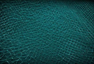 The primary subject of the image is a close-up of a blue, textured surface. The setting appears to be a water-like environment, possibly an aquatic or underwater scene. The visual style of the image is a combination of a photo and digital art, creating a unique and intriguing appearance. The dominant colors in the image are blue and green, giving the scene a calming and serene atmosphere.