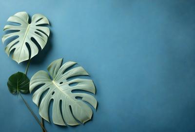 The primary subject of the image is a large green leaf, which is the main object in the scene. The leaf is placed on a blue surface, which serves as the background. The visual style of the image is a photo, capturing the natural beauty of the leaf. The dominant colors in the image are green and blue, creating a calm and serene atmosphere.