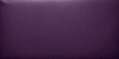 Purple wall with a purple background.