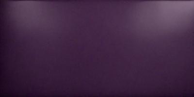 Purple wall, purple background, purple setting, purple visual style.