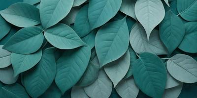The primary subject of the image is a large group of green leaves, which are arranged in a visually appealing manner. The leaves are displayed on a blue background, creating a striking contrast between the green hues and the blue color. The visual style of the image is a close-up of the leaves, showcasing their intricate details and textures. The overall atmosphere of the image is serene and calming, with the green leaves serving as a natural and soothing backdrop.