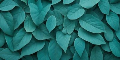 The primary subject of the image is a large group of green leaves, which are the main objects in the scene. The leaves are arranged in a dense, overlapping pattern, creating a visually striking and lush appearance. The setting is a bright, sunny day, with the leaves being the main focus of the image. The visual style is a close-up of the leaves, showcasing their intricate details and textures. The colors and mood of the image are predominantly green, with a hint of blue,