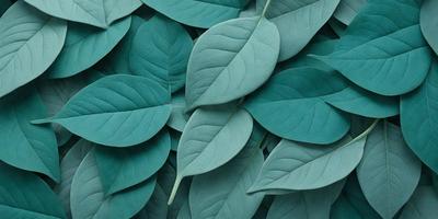 The primary subject of the image is a large group of green leaves, which are the main objects in the scene. The leaves are arranged in a visually appealing manner, creating a sense of depth and texture. The setting is a blue background, which adds a vibrant and lively atmosphere to the image. The visual style is a close-up of the leaves, showcasing their intricate details and textures. The colors and mood of the image are predominantly green, which is associated with nature, growth, and