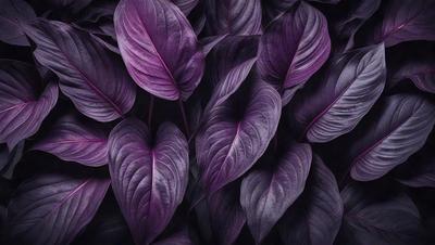 Purple leaves on a purple background.