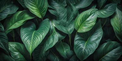 The image features a large green plant with long, leafy green fronds. The plant is surrounded by a lush green background, creating a vibrant and natural atmosphere. The visual style of the image is a close-up of the plant, showcasing its intricate details. The dominant colors in the image are green, which creates a sense of freshness and vitality.