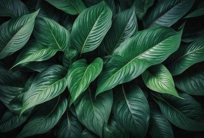 The image features a large green plant with many leaves, creating a lush and vibrant scene. The plant is the primary subject, and it is set against a backdrop of a green background. The visual style of the image is a close-up of the plant, showcasing its intricate details. The dominant colors in the image are green, which gives the scene a fresh and natural atmosphere.