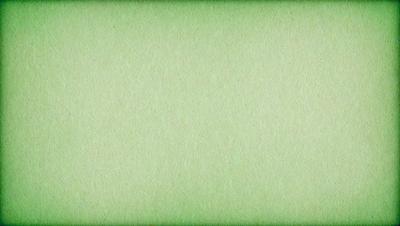 The primary subject of the image is a green background. The setting is a plain, green surface, which serves as the background. The visual style is a photo, capturing the green background in detail. The colors and mood of the image are predominantly green, creating a calm and serene atmosphere.