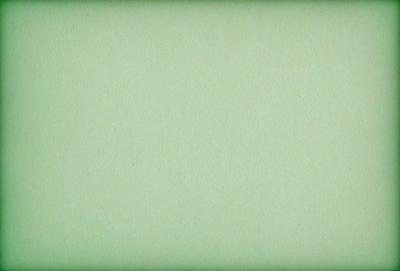 The image features a large, green, unblemished surface. The primary subject is the green background, which is the main focus of the image. The setting is a plain, uncluttered space, with no visible objects or distractions. The visual style is a simple, clean, and unadorned presentation. The colors and mood are predominantly green, creating a calm and serene atmosphere.